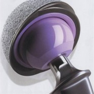 Ceramic Articulation
